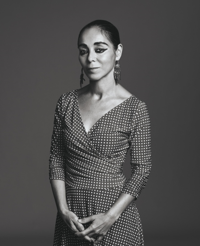 Shirin Neshat image